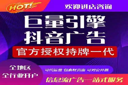 SEM代运营机构成功案例：优化策略与效果分析